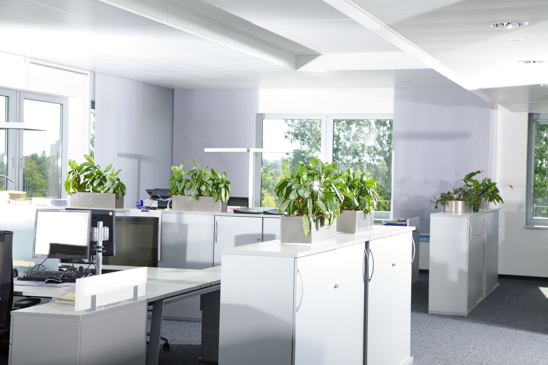 Resume Writing Services Muirhead NT